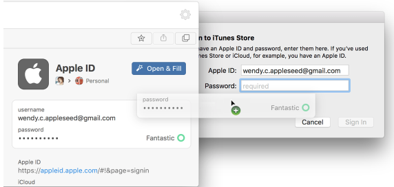 1Password helps you fill in credentials automatically. In most cases it will open the web site and log on without the need for additional input